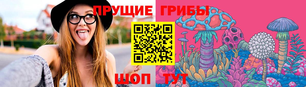 Киселёвск  Псилоцибиновые грибы MAGIC MUSHROOMS  Галлюциногенные грибы ЛСД  Вход с VPN 
