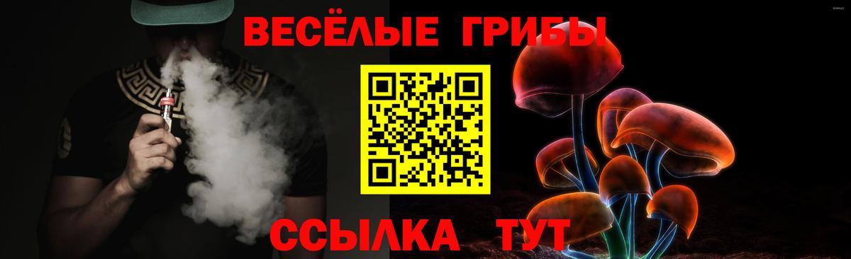 Псилоцибиновые грибы ЛСД Киселёвск